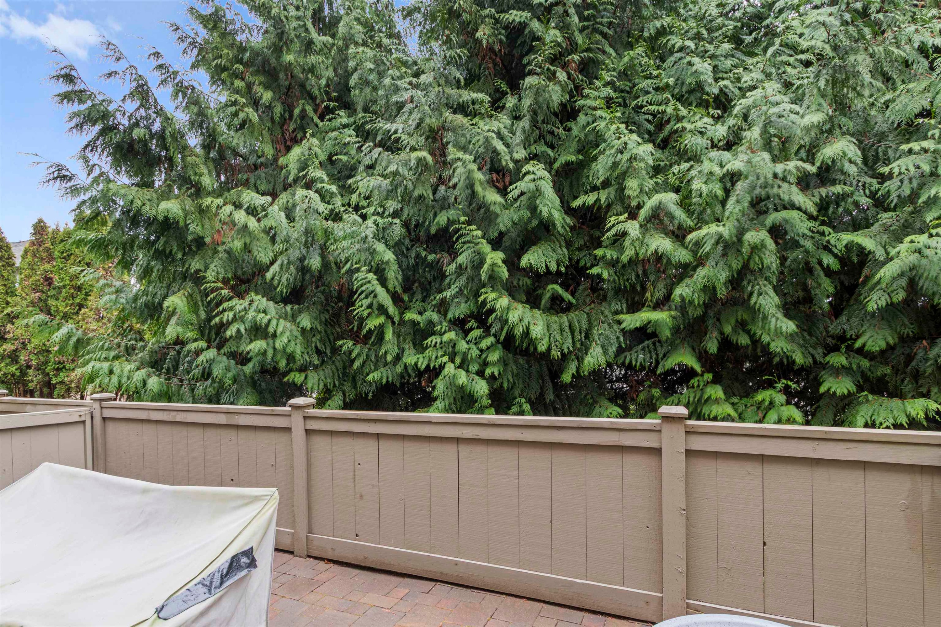 14-2736 Atlin Place, Coquitlam, BC - Outdoor