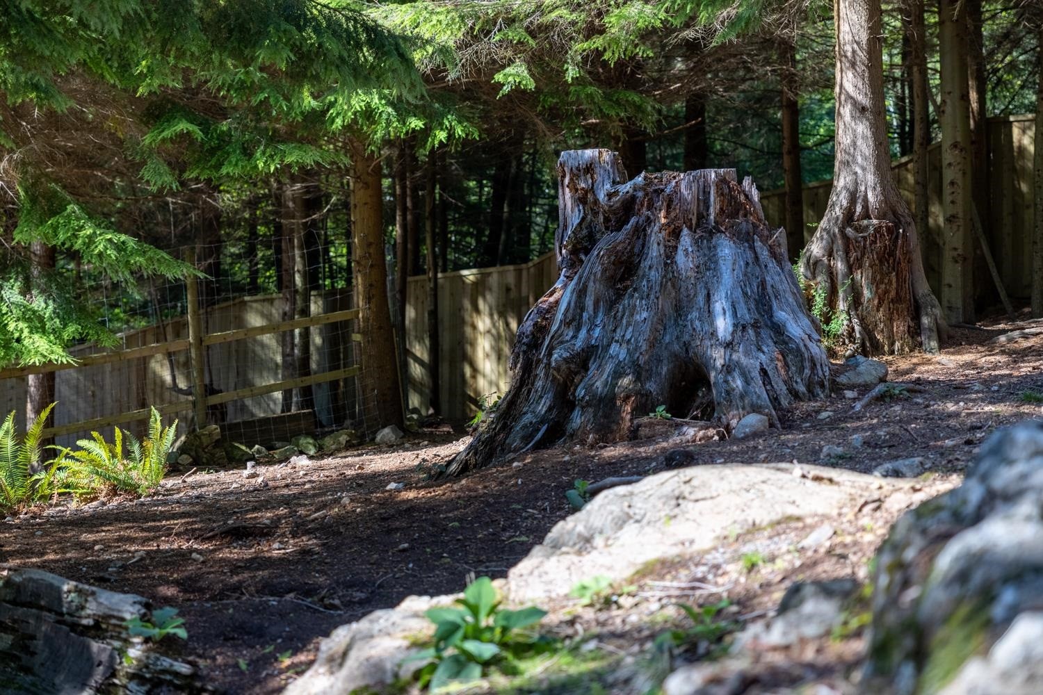 1302 Adams Road, Bowen Island, BC - Outdoor