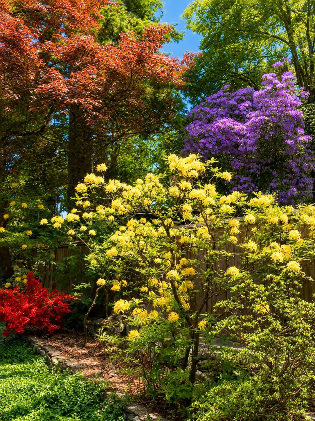 5817 Eagle Island, West Vancouver, BC - Outdoor