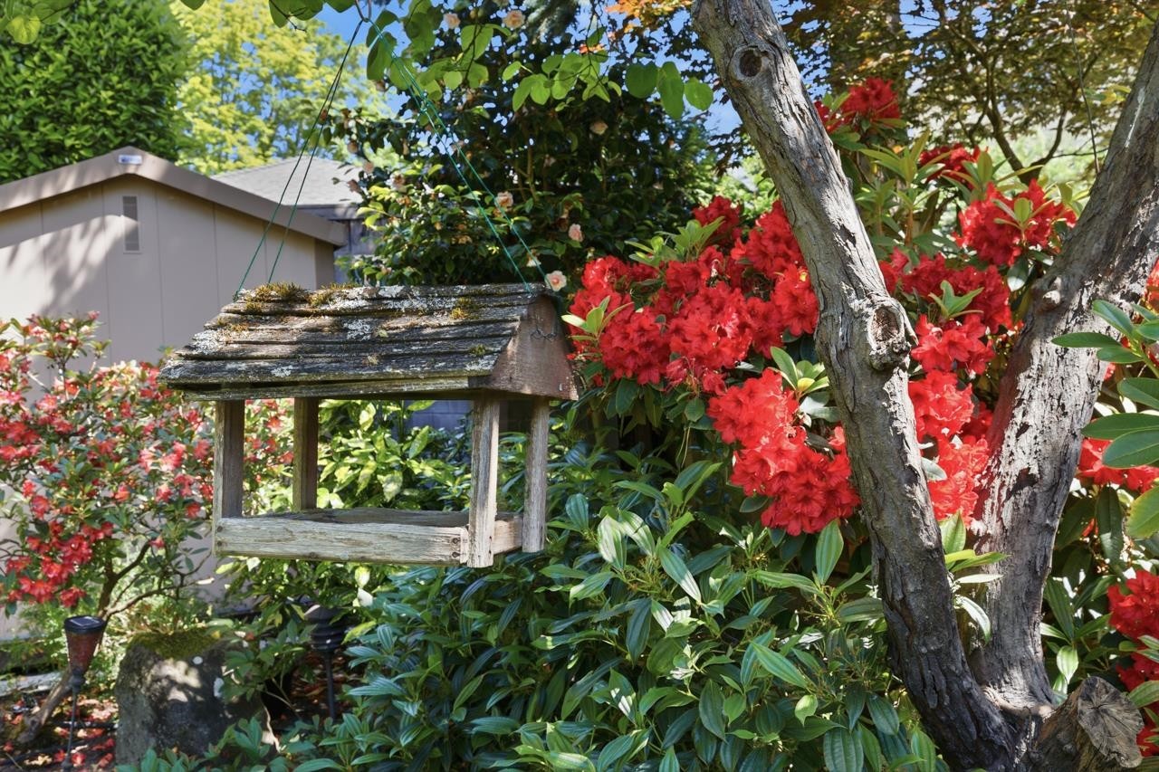 2727 36Th Avenue W, Vancouver, BC - Outdoor