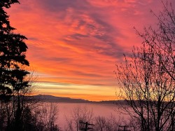 9352 Spilsbury Street Maple Ridge, BC V2W 1V9