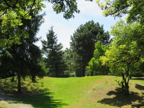 3148 1St Avenue E, Vancouver, BC - Outdoor