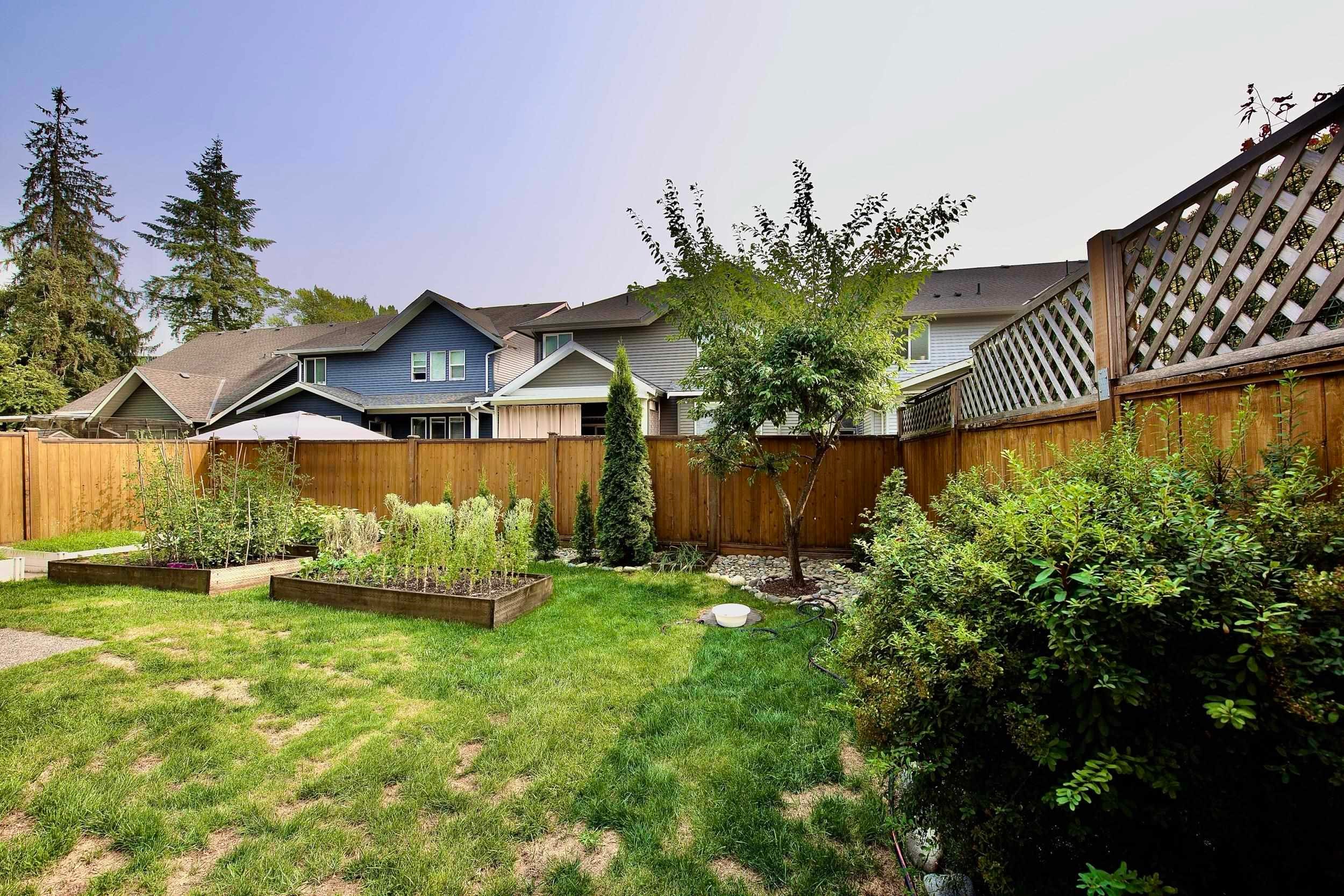 24442 113 Avenue, Maple Ridge, BC - Outdoor