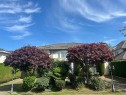 7571 Reeder Road, Richmond, BC  - Outdoor 