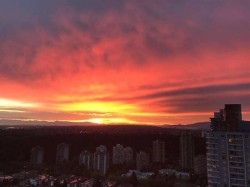 3907-6461 Telford Avenue Burnaby, BC V5H 0B7