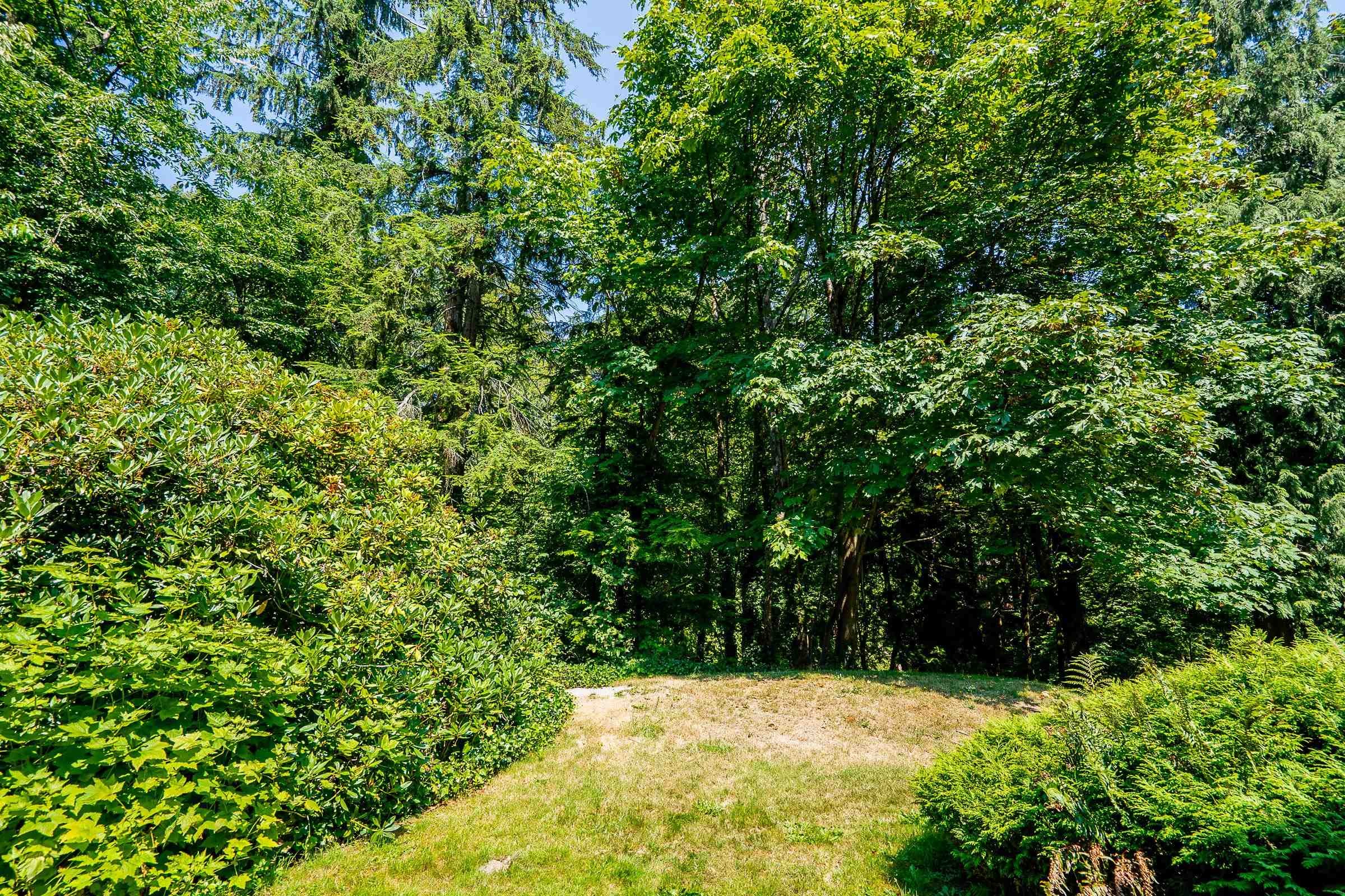 241B Evergreen Drive, Port Moody, BC - Outdoor
