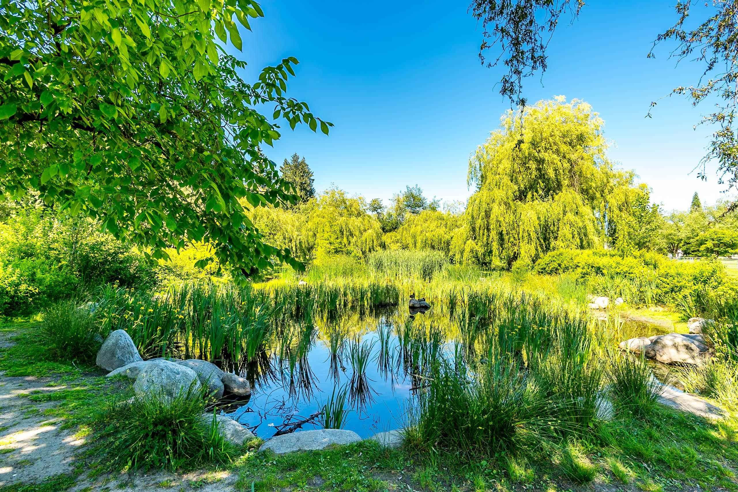 6074 Sherbrooke Street, Vancouver, BC - Outdoor