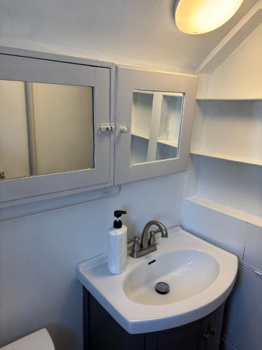 135 12Th Avenue W, Vancouver, BC - Indoor Photo Showing Bathroom