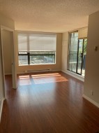 301-833 Agnes Street New Westminster, BC V3M 0B1