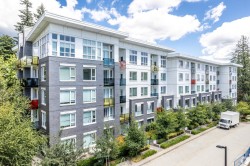 11*-9250 University High Street Burnaby, BC V5A 0B3