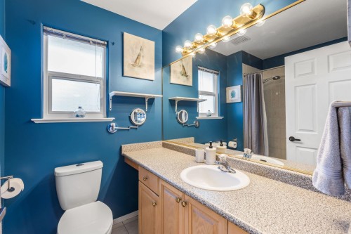 1728 Pekrul Place, Port Coquitlam, BC - Indoor Photo Showing Bathroom