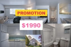 104-1540 Haro Street Vancouver, BC V6G 1G5