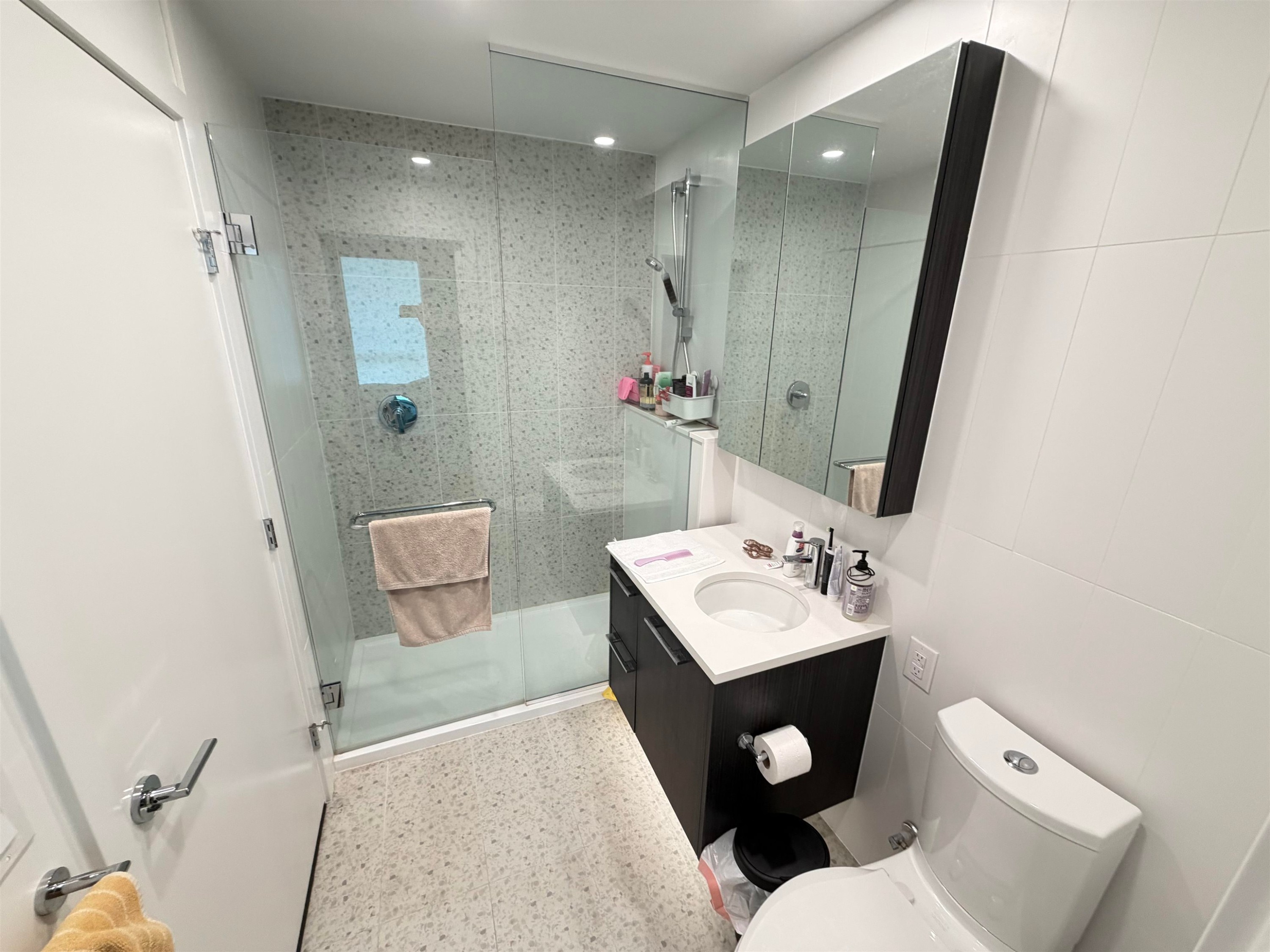 1704-2425 Alpha Avenue, Burnaby, BC
