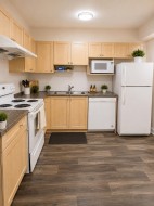 Basement-3387 Darwin Ave Coquitlam, BC V3B 0C9