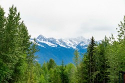 DL3238 Highline Road D'Arcy, BC V0V 0V0