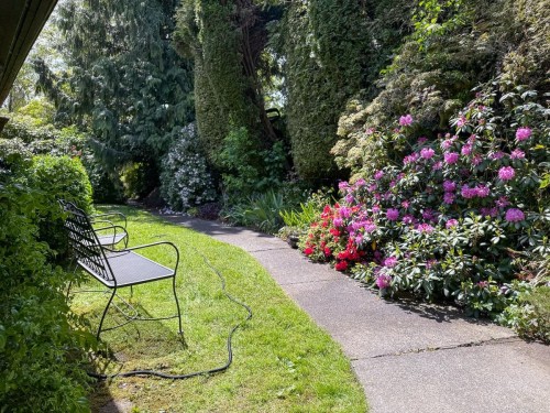 4107 Salish Drive, Vancouver, BC 
