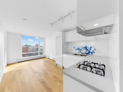 1608-188 Keefer Street  Vancouver, BC V6A 0E3