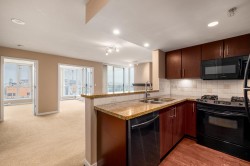 803-120 Milross Avenue  Vancouver, BC V6A 4K7