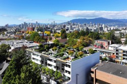 411-2520 Guelph Street  Vancouver, BC V5T 0K7