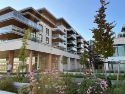 407-785 Harbour Way North Vancouver, BC V7P 0G3