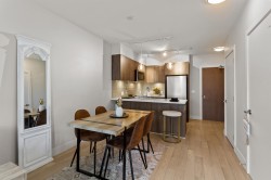 509-2477 Carolina Street  Vancouver, BC V5T 0G8