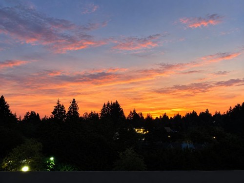 404-1210 27th Street E North Vancouver, BC V7J 0C5