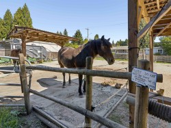 788 26th Street ENorth Vancouver, BC V7K 1A4