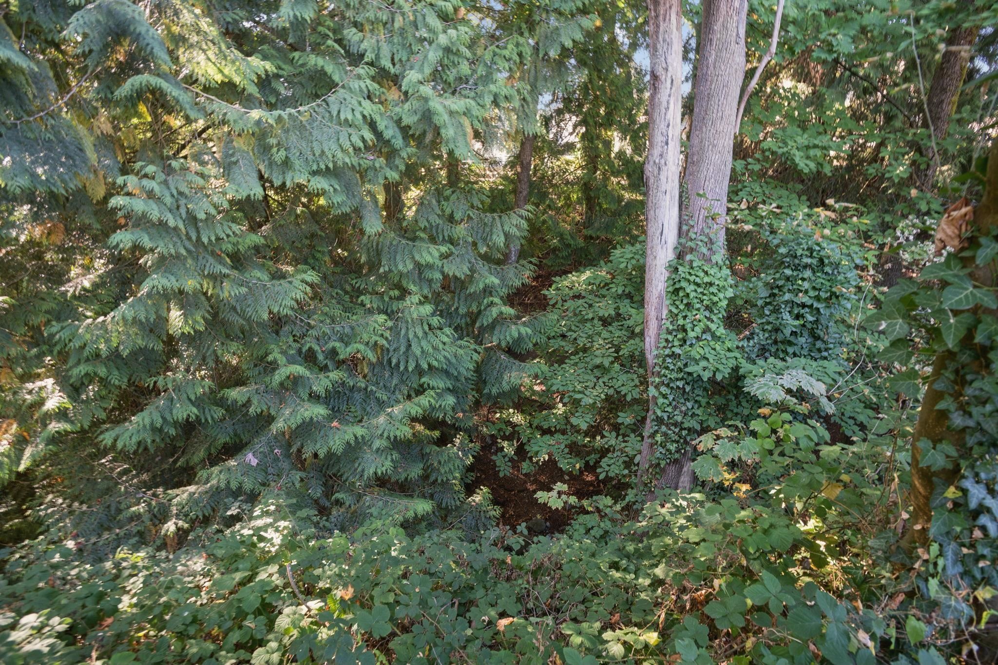 7707 Mcgregor Avenue, Burnaby, BC