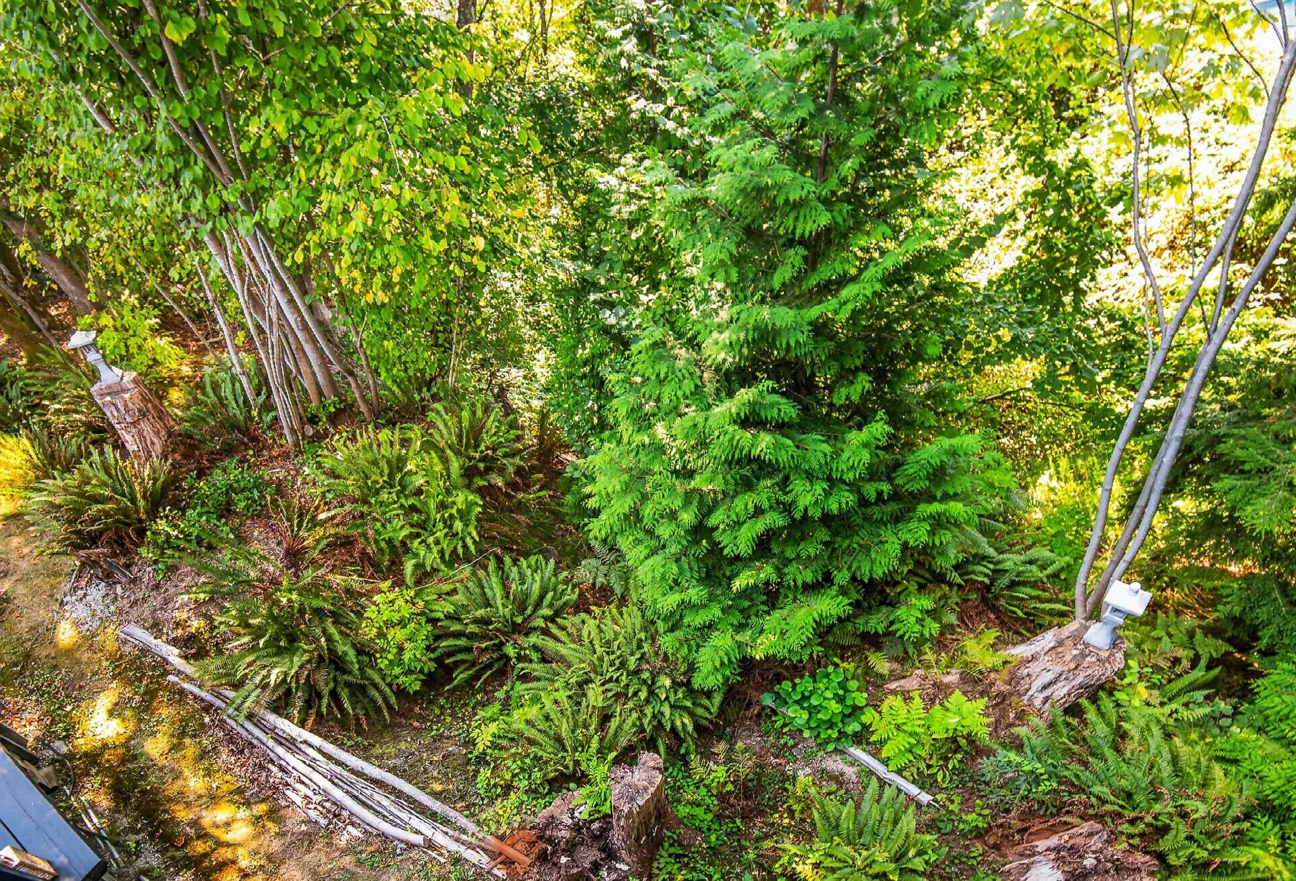 3476 Wilkie Avenue, Coquitlam, BC