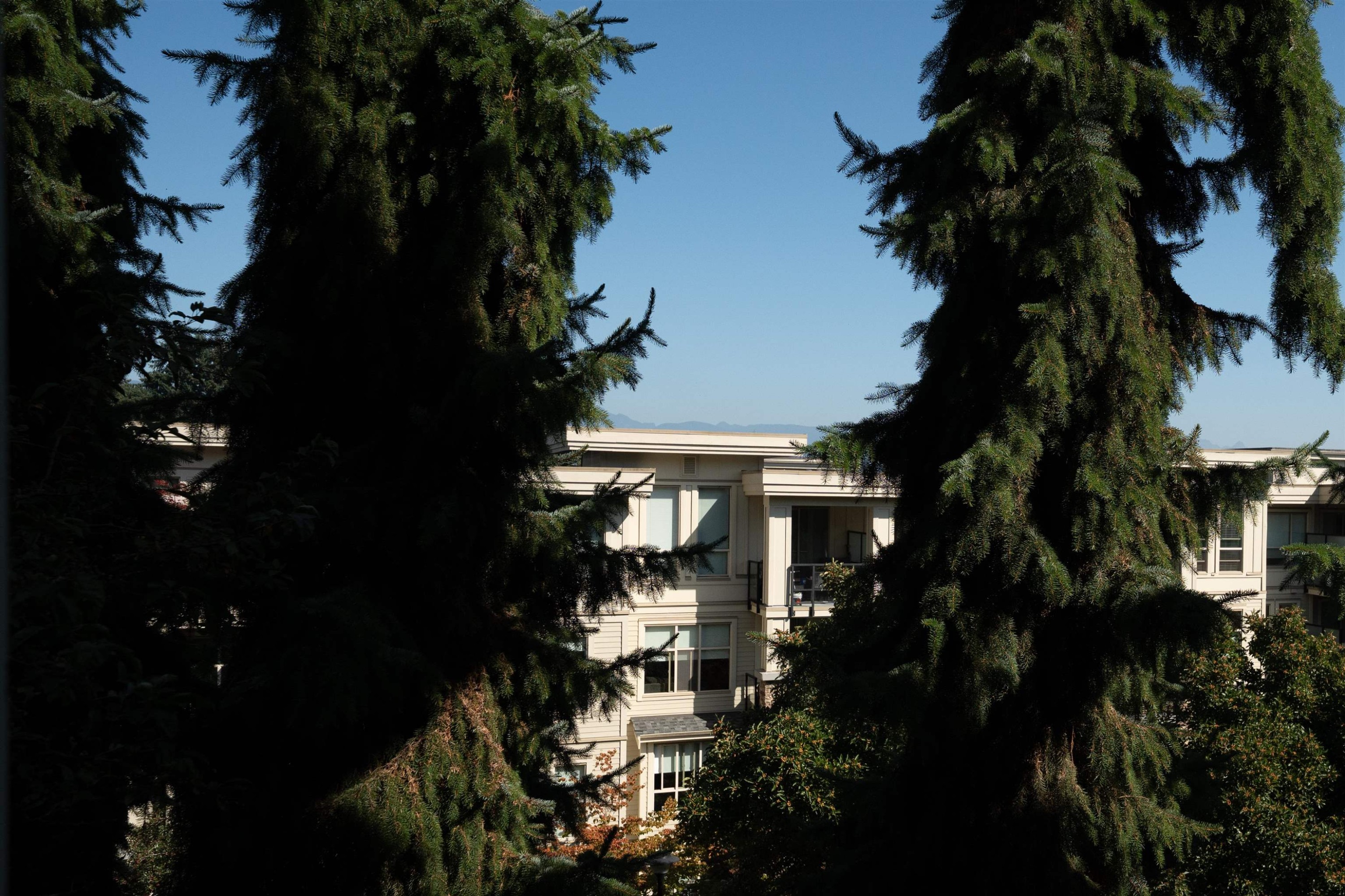 203-255 Ross Drive, New Westminster, BC