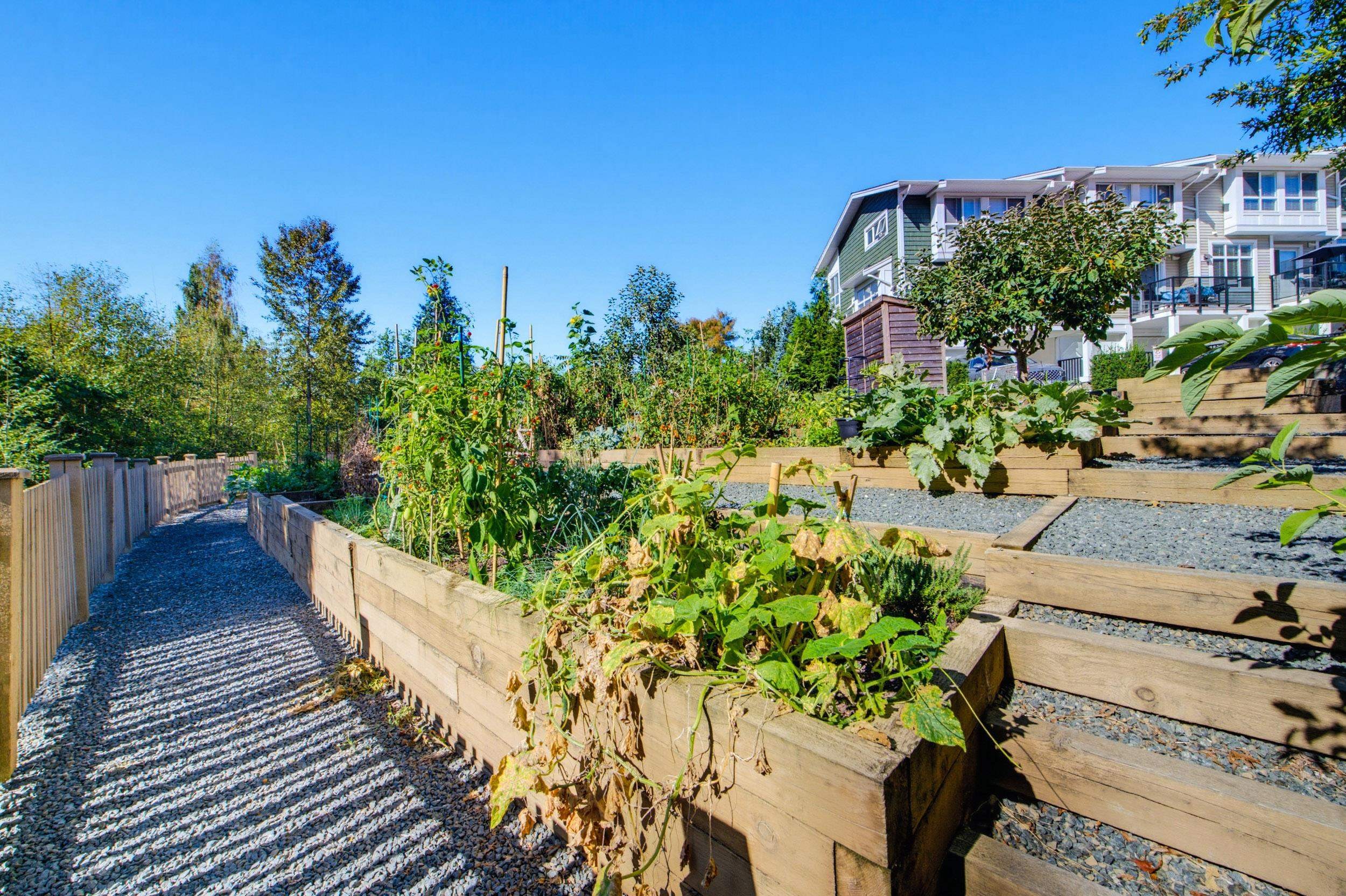 72-24108 104 Avenue, Maple Ridge, BC