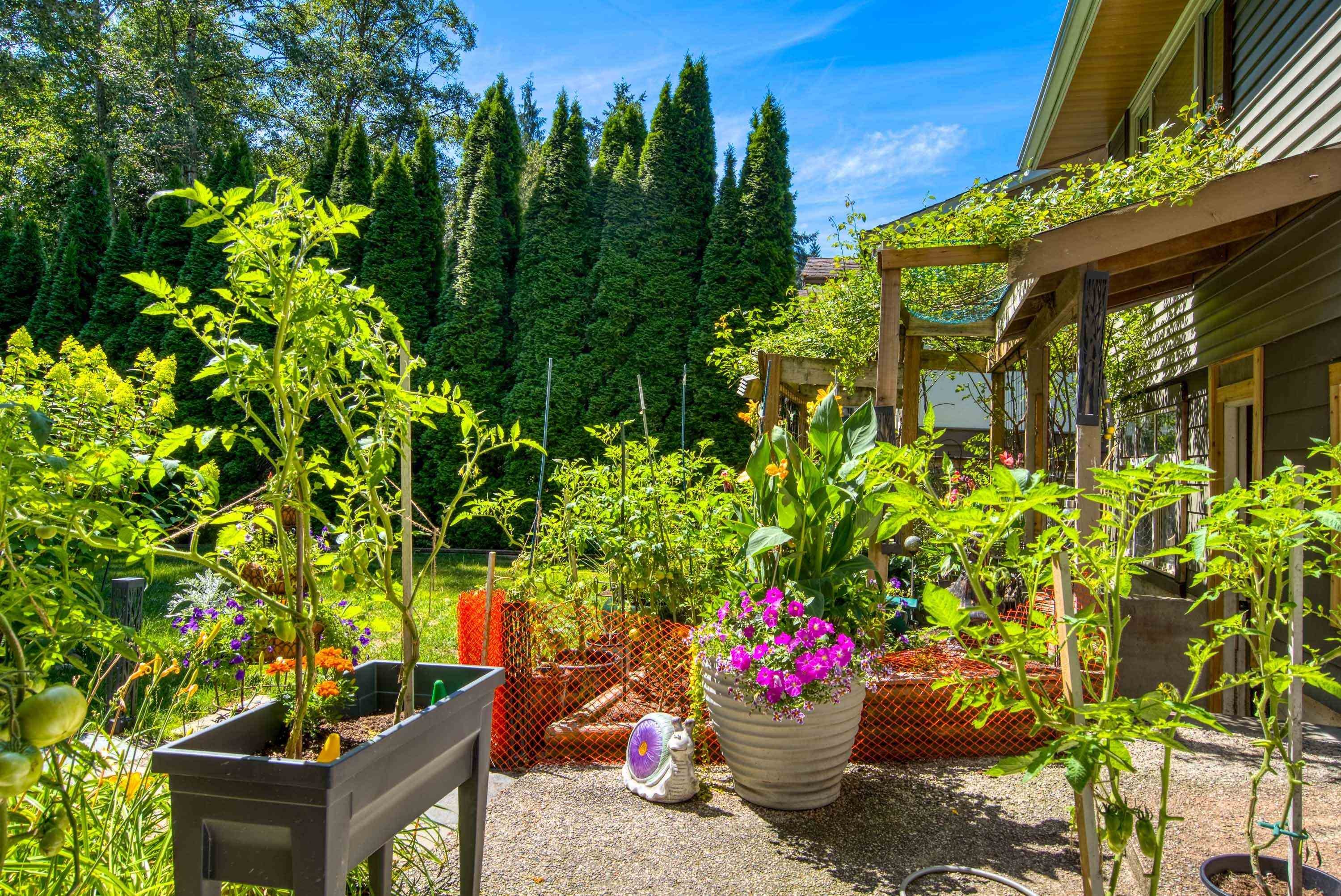 517 Ailsa Avenue, Port Moody, BC