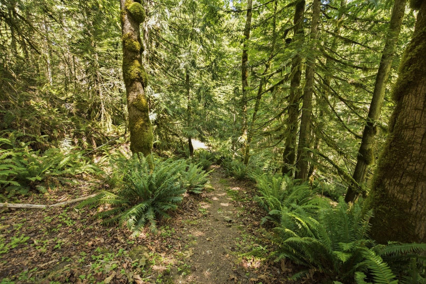 5280 Bear Bay Road, Garden Bay, BC