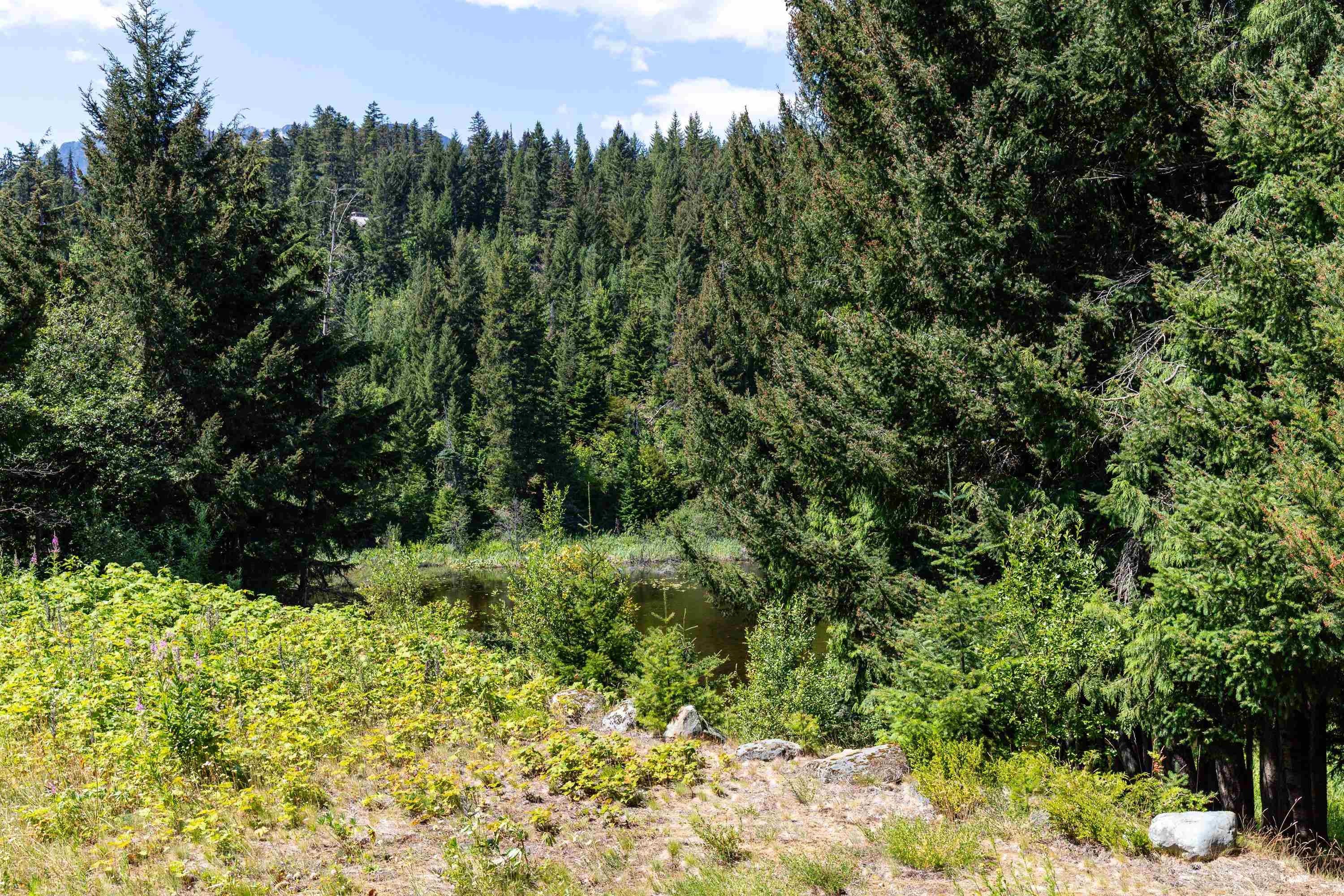 7-7001 Nesters Road, Whistler, BC