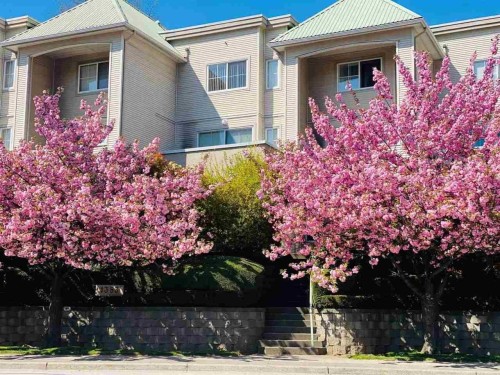 2-1383 Brunette Avenue  Coquitlam, BC V3K 1G6
