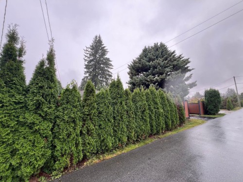 1056 Prairie Avenue, Port Coquitlam, BC 
