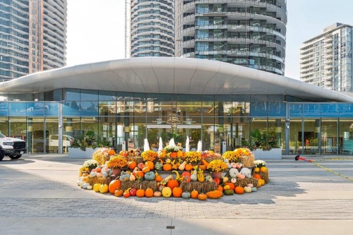 3401-4880 Lougheed Highway  Burnaby, BC V5C 0N1