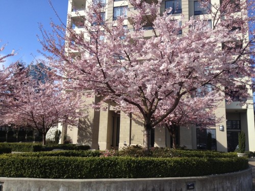 307-4333 Central Boulevard  Burnaby, BC V5H 4W8