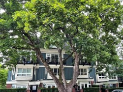 3685-W 12th Avenue  Vancouver, BC V6R 2N5
