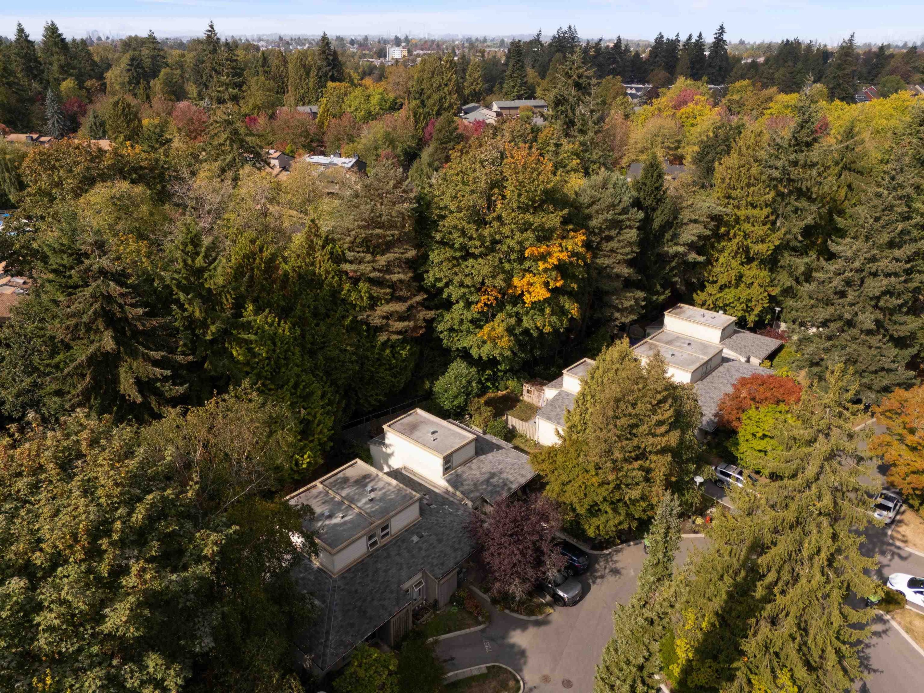 7355 Celista Drive, Vancouver, BC