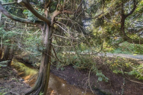 1432 Barberry Drive, Port Coquitlam, BC 