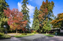 512-4900 Cartier Street  Vancouver, BC V6M 4H2