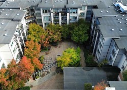 125-738 29th Avenue E Vancouver, BC V5V 0B6