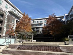 529-7008 River Parkway Parkway  Richmond, BC V6X 0R1