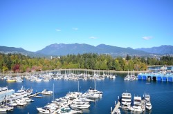1303-1777 Bayshore Drive  Vancouver, BC V6G 3H2