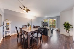 308-2380 Shaughnessy Street  Port Coquitlam, BC V3C 3E3