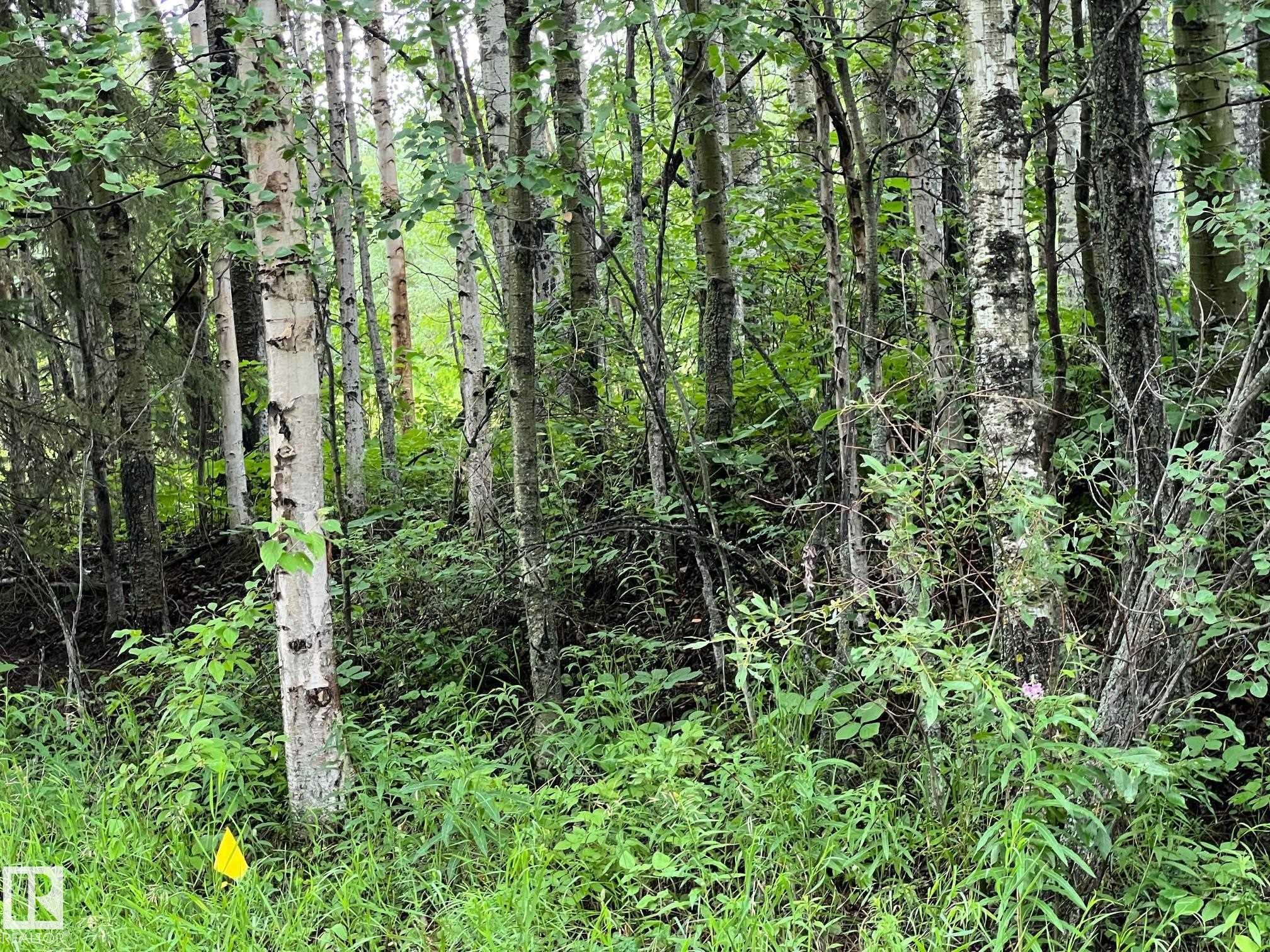 2130 2001 Twp Rd 474, Rural Leduc County, AB