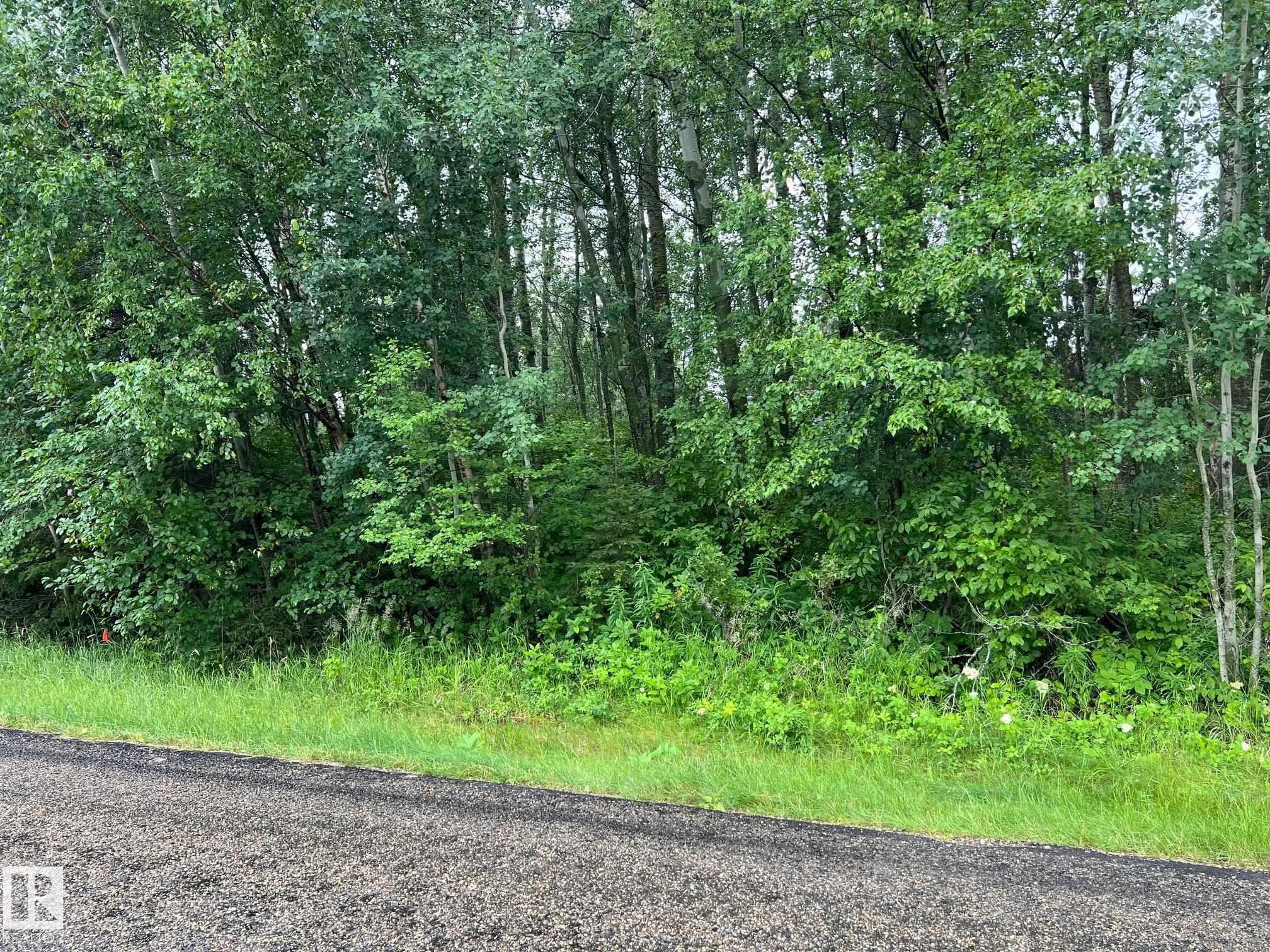 2130 2001 Twp Rd 474, Rural Leduc County, AB