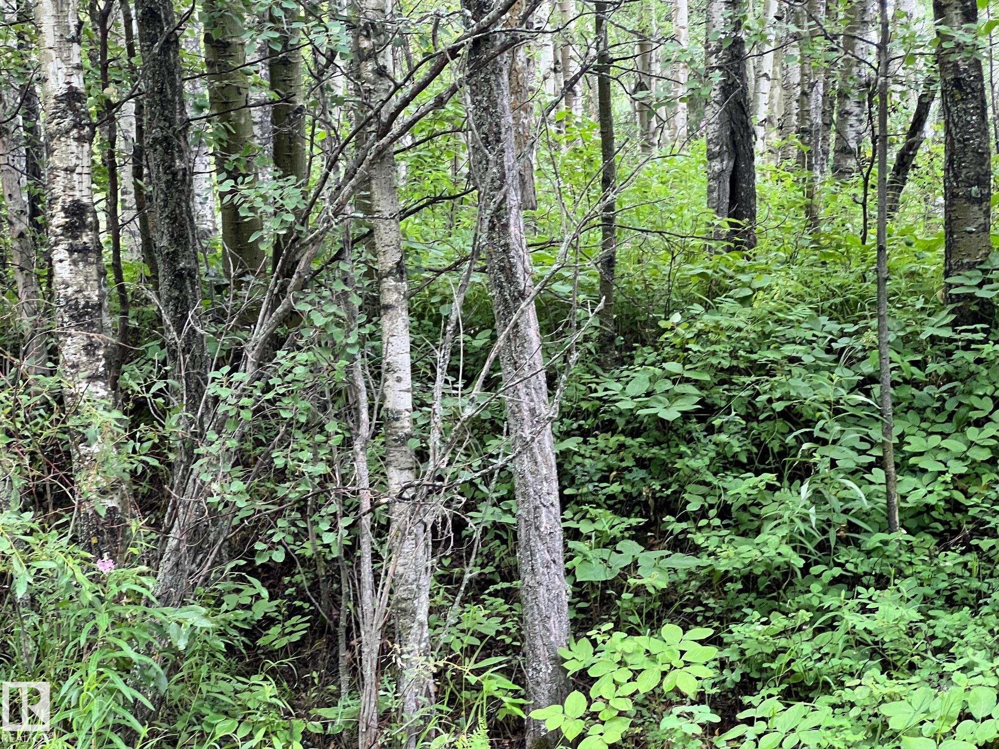 2130 2001 Twp Rd 474, Rural Leduc County, AB