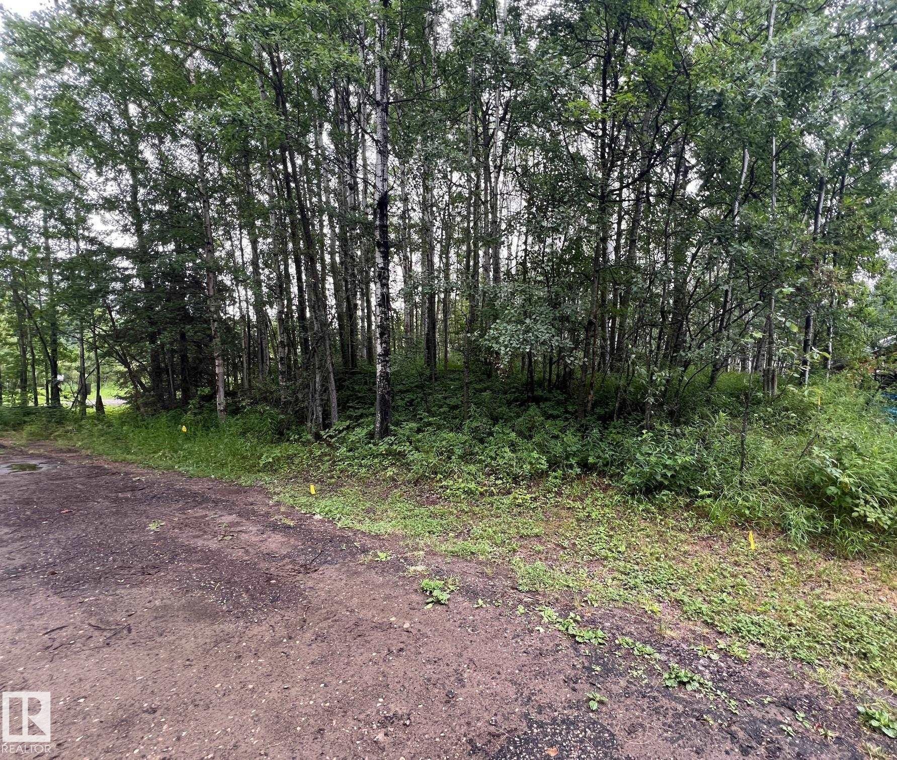 2130 2001 Twp Rd 474, Rural Leduc County, AB